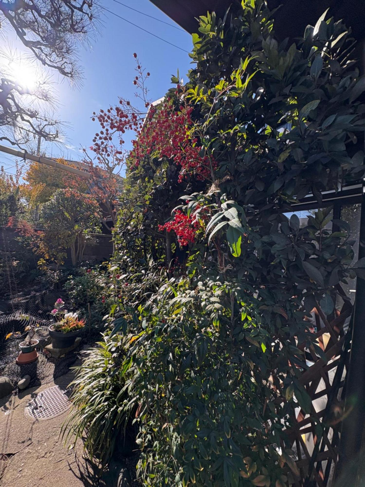 מלון טוקיו Kitazawa Cozy House מראה חיצוני תמונה